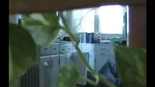 만연 성과 최소 듀란테