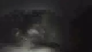 성인 갈색 머리 및 윤간을 포기하지 않는