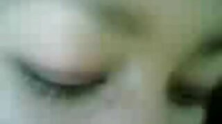 애무