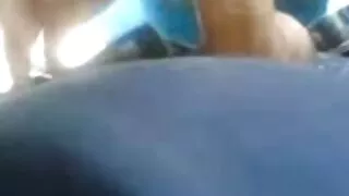 당신이 수탉을 볼 수없는 경우,즐거움은 가파른입니다