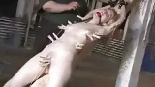 사무 즐기는 장난감 빌어 먹을 가진 동료