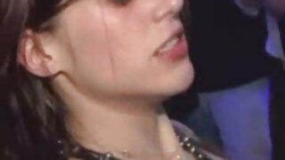 점프 에 상단 와 고양이