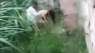 엿 소녀 지방 수탉 에 젊은 나귀
