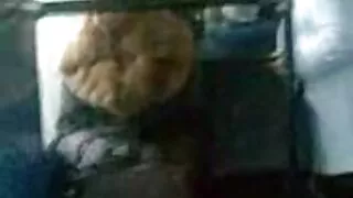 모든 질병에 대한 최고의 약으로서의 필카