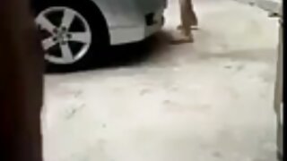 빌어 먹고 빌어 먹을 가진 아름다움