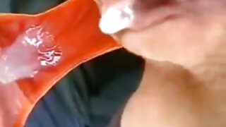 리셸 라이언