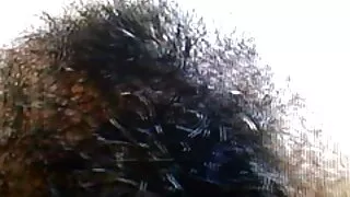 아내는 풍부한 상상력과 부드러운 손에 사슬을 가지고 있습니다